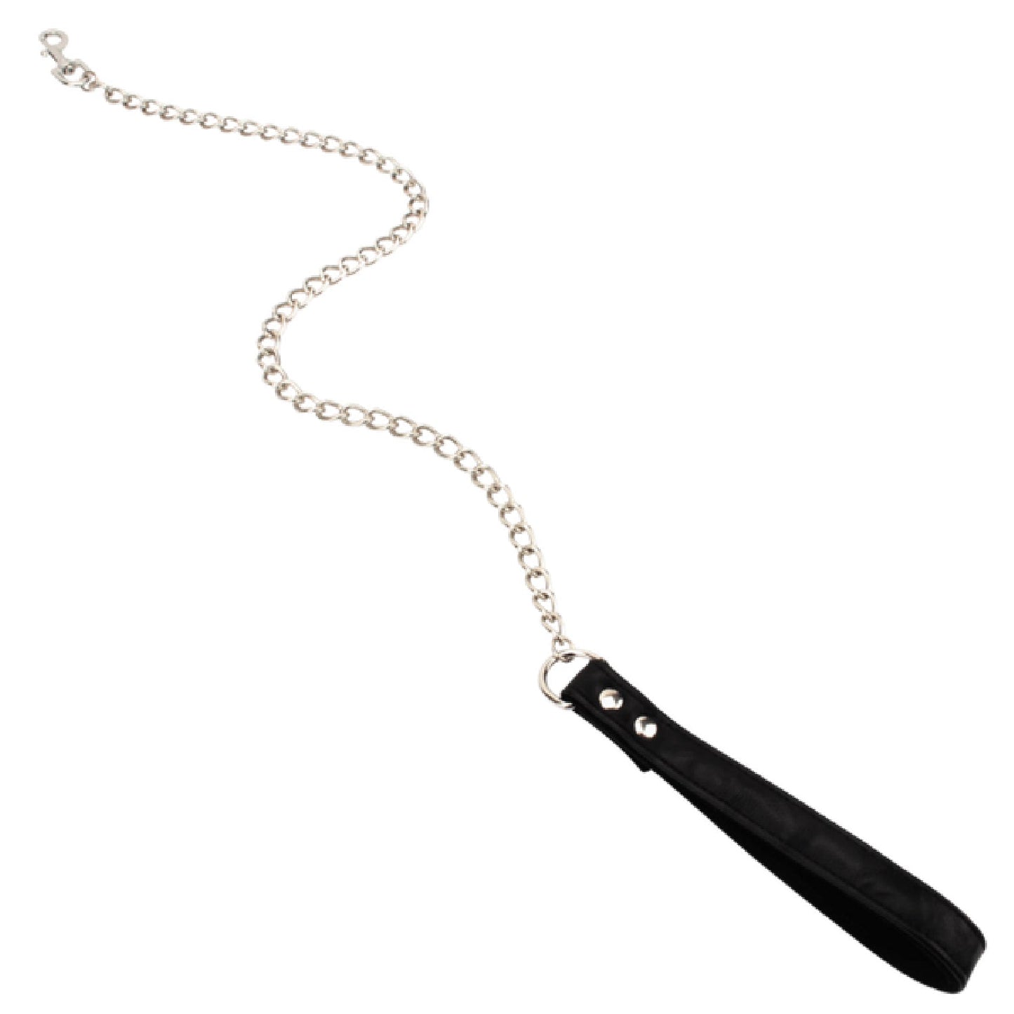 Be in Charge Leash
