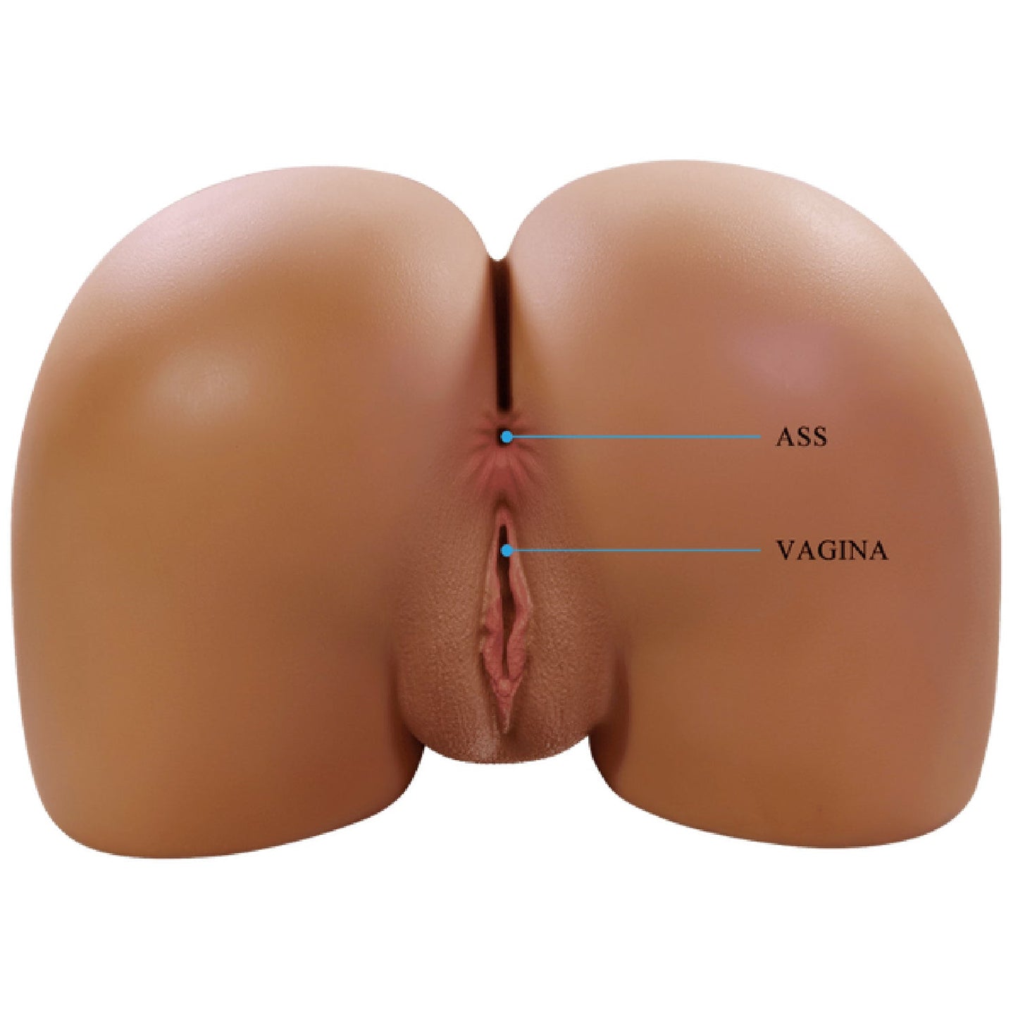 Vagina and Anal Masturbator - Wendy (Talk and Suction)