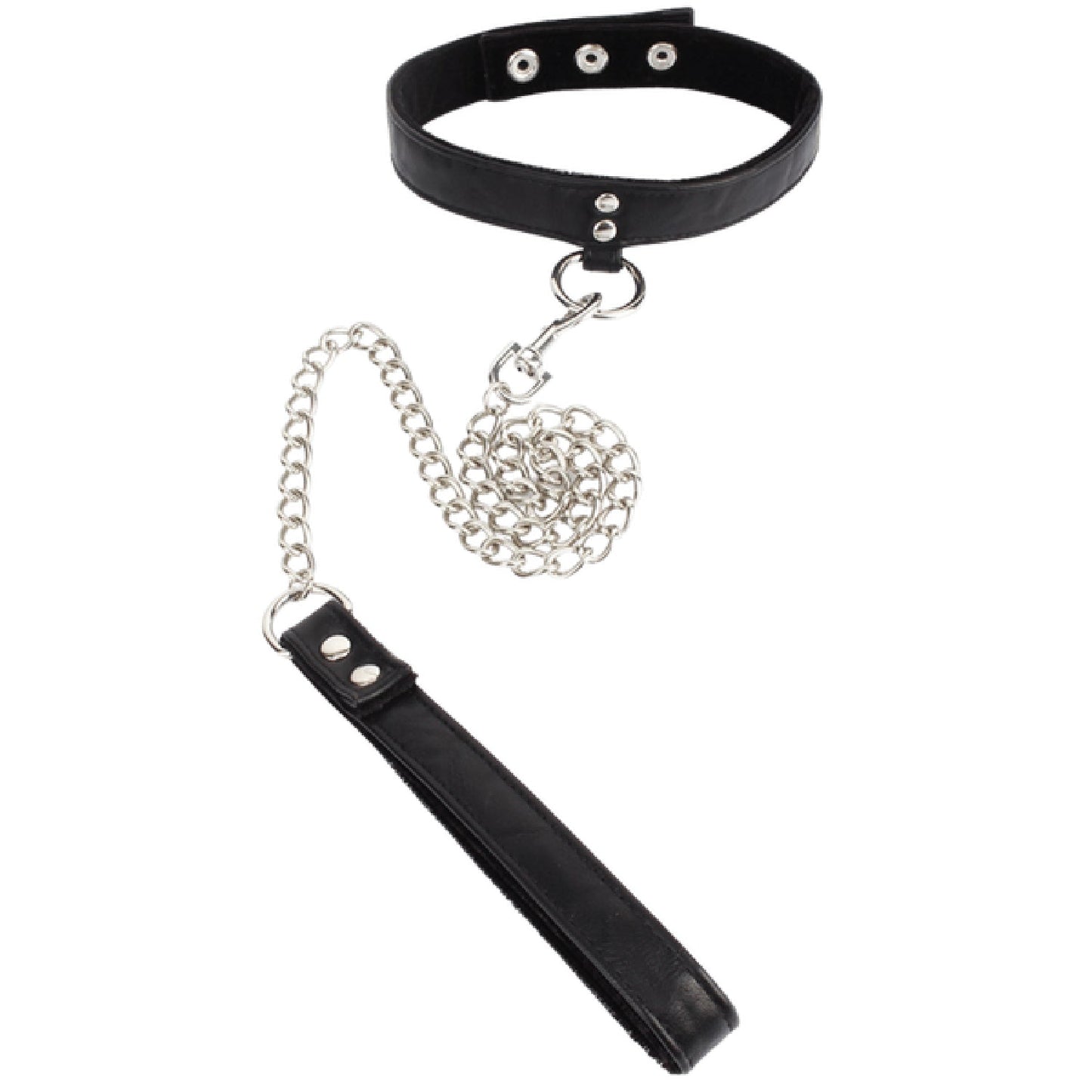 Follow the Leash with Collar